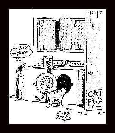catfoodclsc.jpg